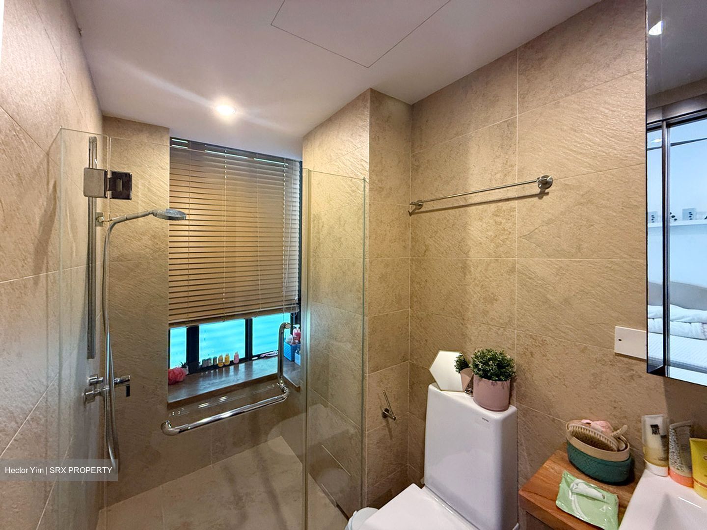 Holland Link (D10), Terrace #525091541